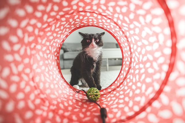 chat tunnel