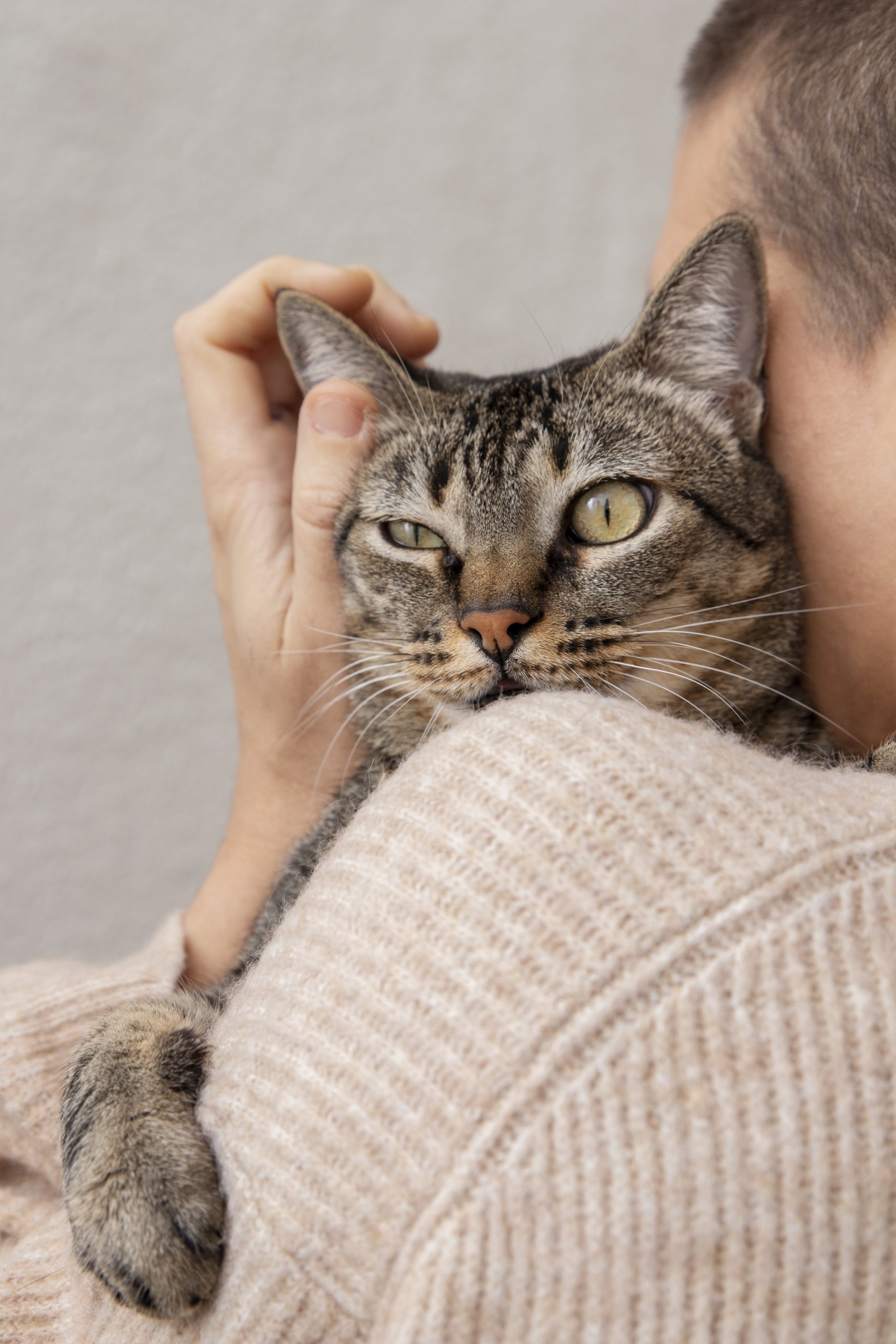 femme-tenant-son-adorable-minou-interieur